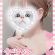 ヒメ日記 2026/03/29 20:56 投稿 さきの IRIS(岐阜)