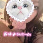 ヒメ日記 2026/03/31 13:26 投稿 さきの IRIS(岐阜)