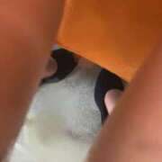 はるな 🥺 ちゃんこ千葉東金店