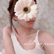 ヒメ日記 2025/05/27 18:20 投稿 芹野 なる CELEB SPA PREMIUM