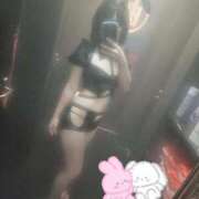 ヒメ日記 2024/12/12 18:24 投稿 とあ いざ候 別館