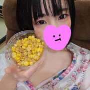 ヒメ日記 2024/12/14 21:04 投稿 とあ いざ候 別館