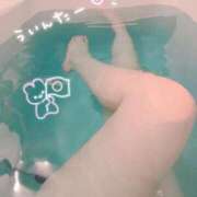 ヒメ日記 2024/12/26 00:54 投稿 とあ いざ候 別館