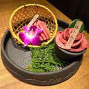 ヒメ日記 2024/12/26 21:24 投稿 とあ いざ候 別館