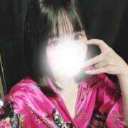 ヒメ日記 2025/04/16 11:24 投稿 とあ いざ候 別館