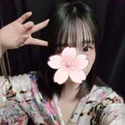 ヒメ日記 2025/04/29 13:14 投稿 とあ いざ候 別館