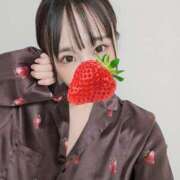 ヒメ日記 2025/04/30 00:44 投稿 とあ いざ候 別館