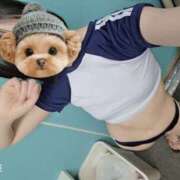 ヒメ日記 2025/05/03 13:54 投稿 とあ いざ候 別館