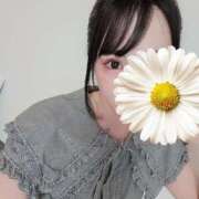 ヒメ日記 2025/06/29 23:20 投稿 とあ いざ候 別館