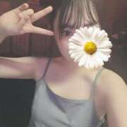 ヒメ日記 2025/08/10 23:34 投稿 とあ いざ候 別館