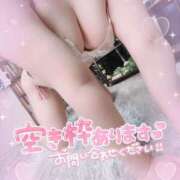 ヒメ日記 2025/01/18 18:21 投稿 あすか マリン土浦本店