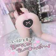 ヒメ日記 2025/01/21 04:41 投稿 あすか マリン土浦本店