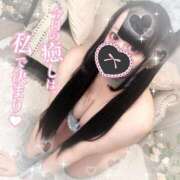 ヒメ日記 2025/02/18 18:01 投稿 あすか マリン土浦本店