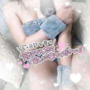 ヒメ日記 2025/02/24 11:02 投稿 あすか マリン土浦本店