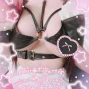 ヒメ日記 2025/02/25 21:02 投稿 あすか マリン土浦本店