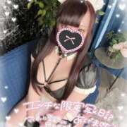 ヒメ日記 2025/02/26 17:51 投稿 あすか マリン土浦本店