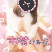 ヒメ日記 2025/03/01 04:01 投稿 あすか マリン土浦本店