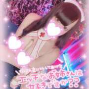 ヒメ日記 2025/06/11 08:01 投稿 あすか マリン土浦本店