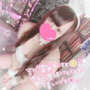 ヒメ日記 2026/01/19 05:11 投稿 あすか マリン土浦本店