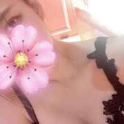 ヒメ日記 2025/01/31 17:14 投稿 カリナ マリン宮殿水戸店