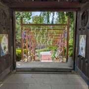 ヒメ日記 2025/05/15 22:19 投稿 もえ One More 奥様　松戸店