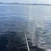 ヒメ日記 2025/07/13 19:09 投稿 もえ One More 奥様　松戸店