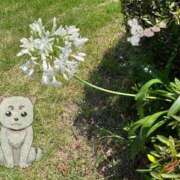 ほなみ 🐈夏が始まった気がする…🥲🎐 パリス雄琴店