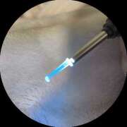 ヒメ日記 2024/12/29 12:38 投稿 香山 HERMINE-エルミネ-