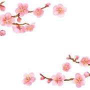 ヒメ日記 2025/02/08 23:00 投稿 天音 華恋人(カレント)