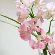 ヒメ日記 2025/02/13 17:27 投稿 天音 華恋人(カレント)