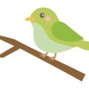 ヒメ日記 2025/03/02 22:34 投稿 天音 華恋人(カレント)