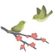 ヒメ日記 2025/03/16 15:13 投稿 天音 華恋人(カレント)