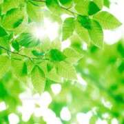 ヒメ日記 2025/04/21 10:57 投稿 天音 華恋人(カレント)