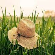 ヒメ日記 2025/09/08 15:54 投稿 天音 華恋人(カレント)