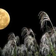 ヒメ日記 2025/10/08 11:36 投稿 天音 華恋人(カレント)