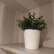 ヒメ日記 2025/11/10 11:38 投稿 天音 華恋人(カレント)