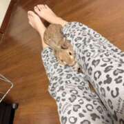 ヒメ日記 2025/04/06 19:40 投稿 めぐる エンジェルシリカ