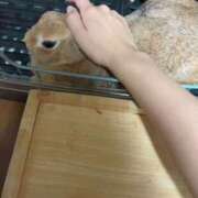 ヒメ日記 2025/04/22 18:51 投稿 めぐる エンジェルシリカ