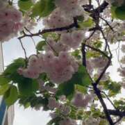 ヒメ日記 2026/04/07 16:29 投稿 めぐる エンジェルシリカ