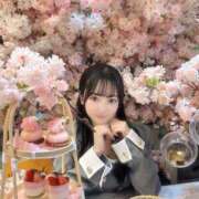 Mea ありがとう??? THE RICH