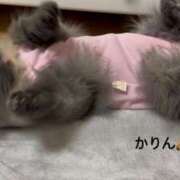 かりん 無事に🥲 New Sky