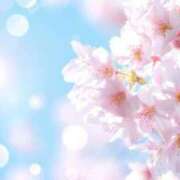 ヒメ日記 2026/04/03 17:13 投稿 ことみ 熟女の風俗最終章 高崎店