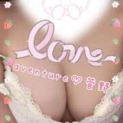 ヒメ日記 2025/01/21 09:16 投稿 菅野（カンノ） アバンチュール(五反田)