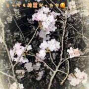 ヒメ日記 2025/05/05 21:31 投稿 菅野（カンノ） アバンチュール(五反田)