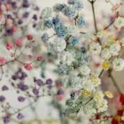 ヒメ日記 2025/06/24 16:46 投稿 菅野（カンノ） アバンチュール(五反田)