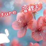 ヒメ日記 2025/07/16 09:31 投稿 菅野（カンノ） アバンチュール(五反田)