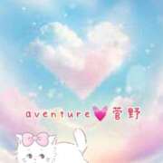 ヒメ日記 2025/07/25 09:31 投稿 菅野（カンノ） アバンチュール(五反田)