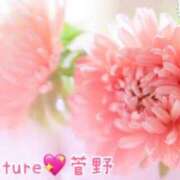 ヒメ日記 2025/07/27 22:01 投稿 菅野（カンノ） アバンチュール(五反田)