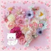 ヒメ日記 2025/09/11 20:16 投稿 菅野（カンノ） アバンチュール(五反田)