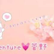 ヒメ日記 2025/09/15 12:01 投稿 菅野（カンノ） アバンチュール(五反田)